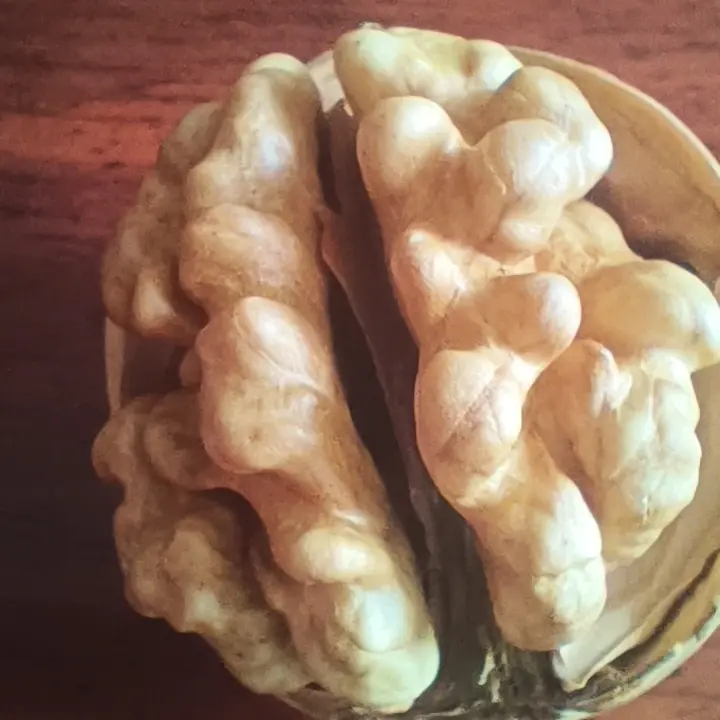 新疆阿克苏纸皮核桃手捏即开薄皮饱满营养2025美味