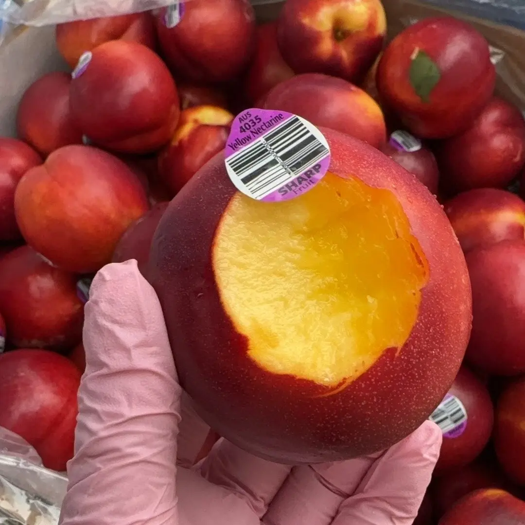 澳大利亚金腰带黄桃