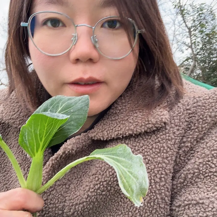 有虫眼农家自种小青菜清炒偏汤