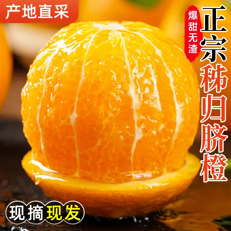 秭归纽荷尔脐橙新鲜水果橙子现摘皮薄爆汁手剥甜橙现摘现发非赣南