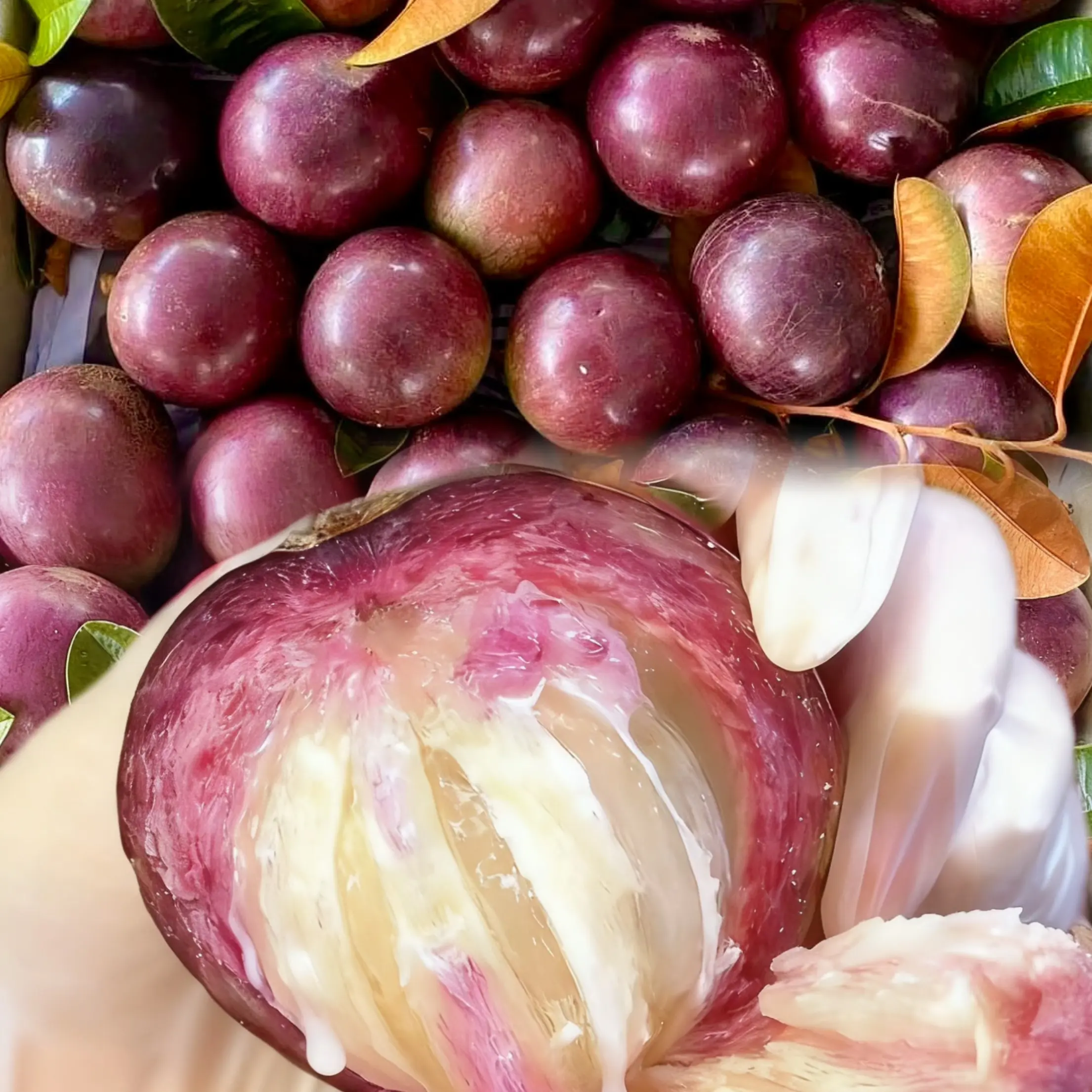 牛奶果越南引进品种新鲜高端高档送礼孕妇奇怪独特别热带水果包邮