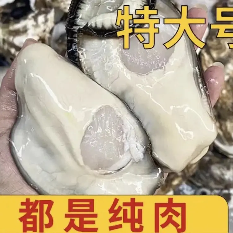 连云港发货现剥顶大大生蚝肉250克/盒到手10盒每盒5只左右