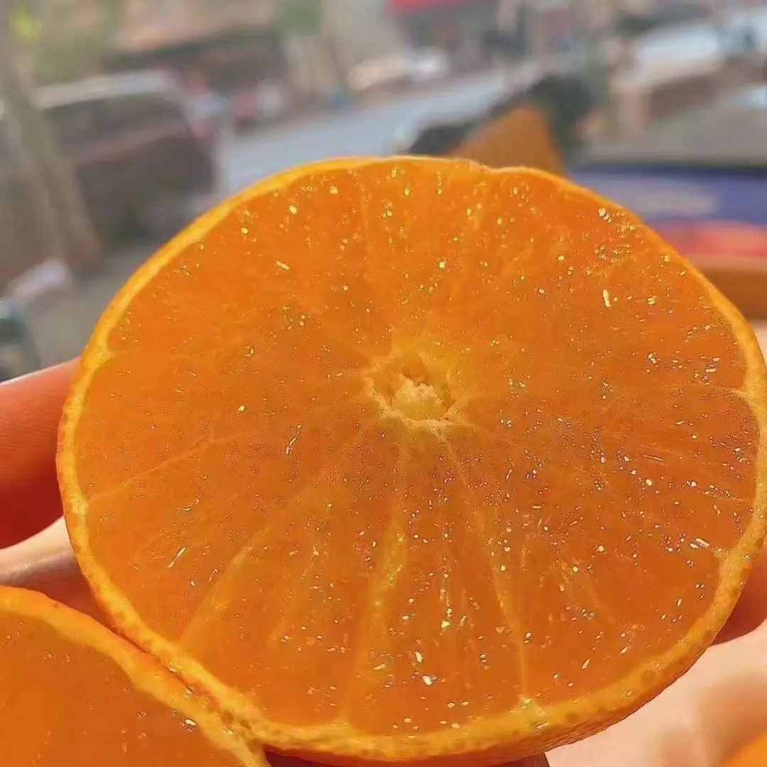 正宗象山红美人原产地发货