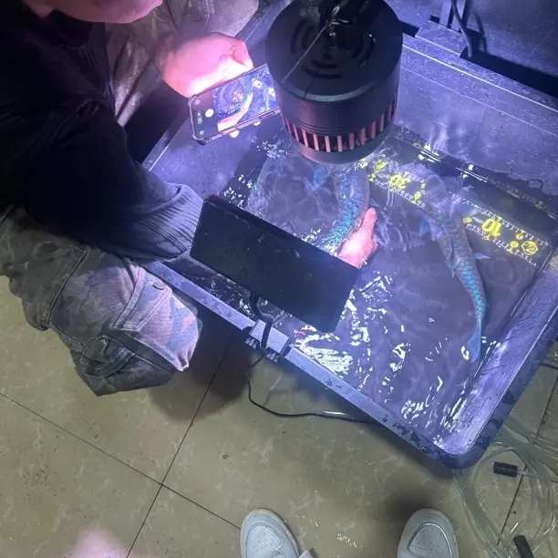 鱼缸冲浪泵双头清洁神器水族箱吸盘防反转造流泵