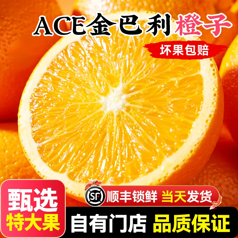 【顺丰送上门】ACE南非进口金巴利黑标橙子礼盒装新鲜当季精选品质