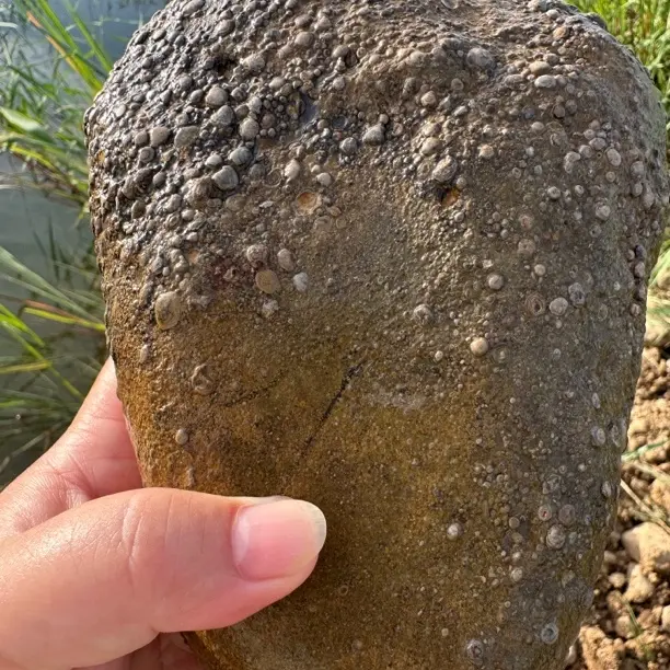 大汶河流域原石奇石不支持退换