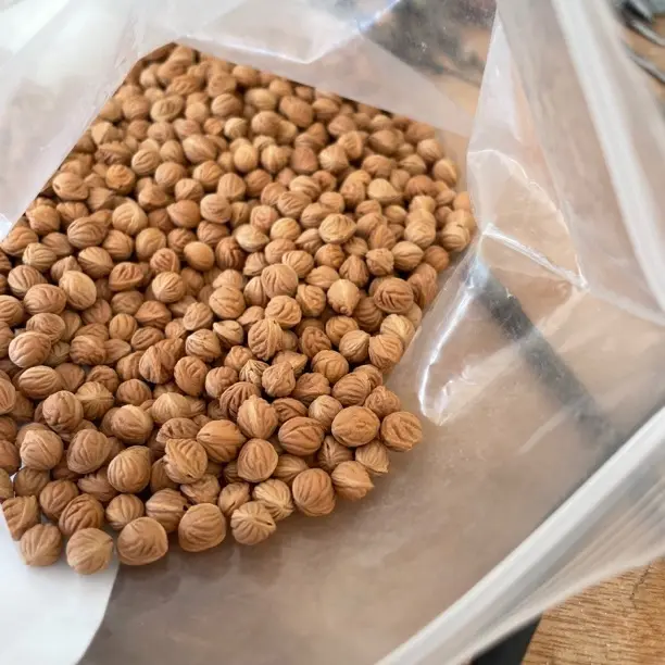 6mm左右龙纹散籽单颗价10颗起售