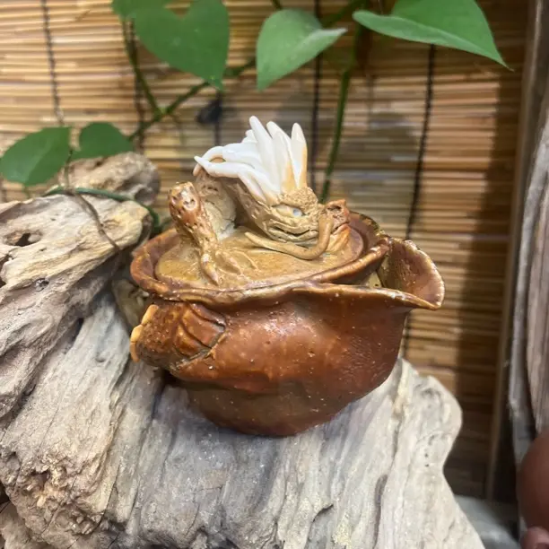 柴烧粗陶手捏精品宝瓶纯手工制作 收藏品 陈为土老师作品