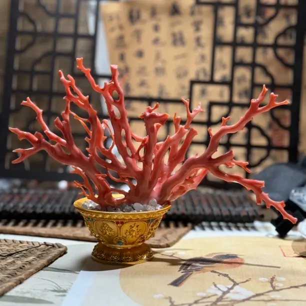 天然红珊瑚扇形摆件 红珊瑚树形摆件