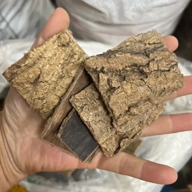 老树皮精选可煲汤泡茶泡酒