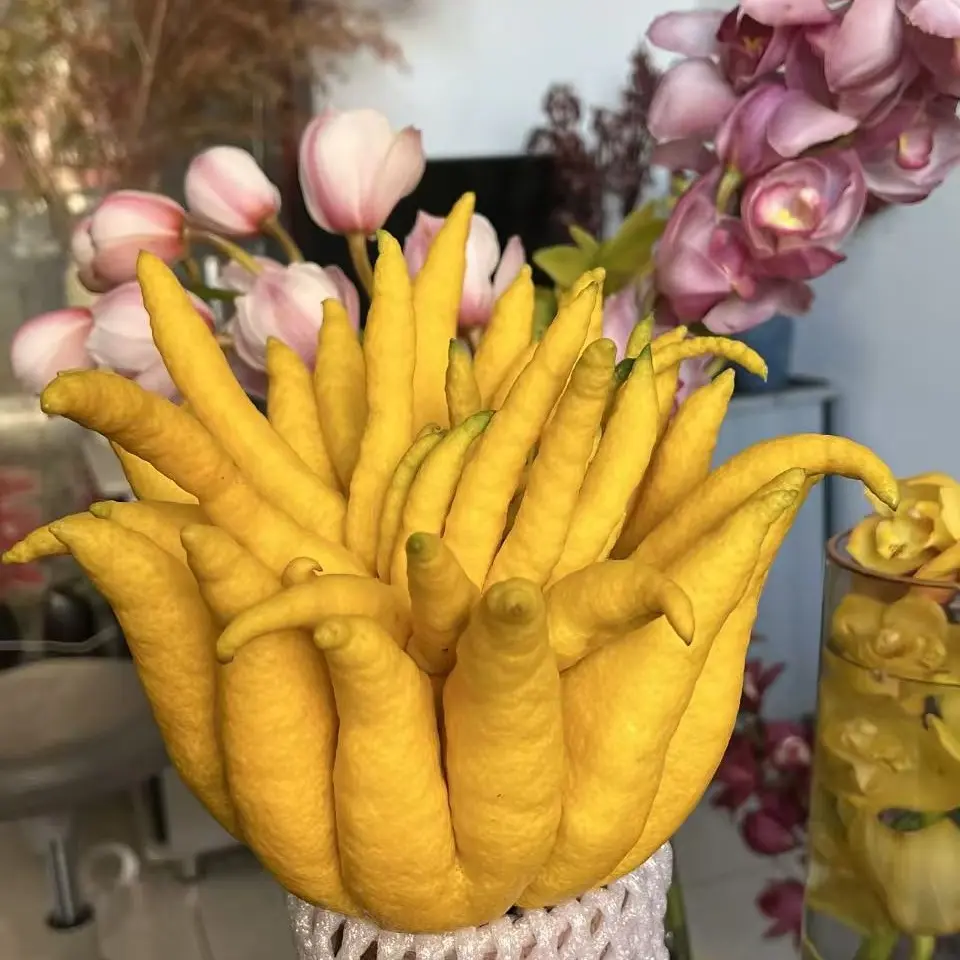 【仁明花卉】2000g➕大号佛手柑，两千多米海拔的天然香薰