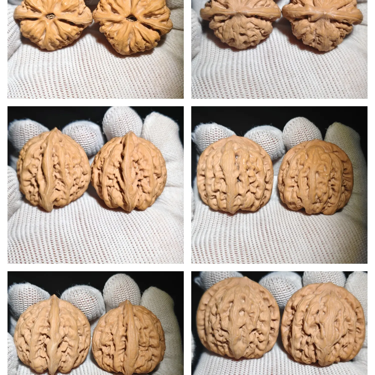 平谷九龙高端小众36尺全品无修020