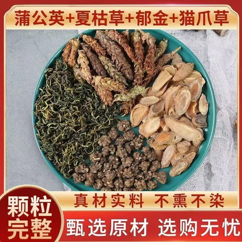 《结 四物汤》优选猫抓草郁金夏枯草蒲公英可搭桑叶泡水煮水