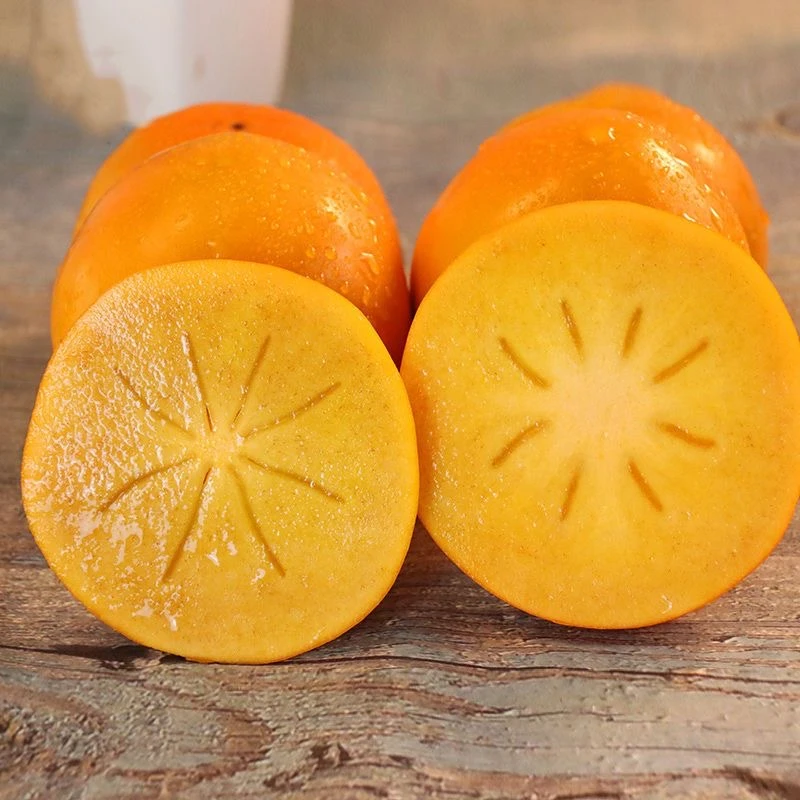 新鲜采摘阳丰巧克力柿子香甜多汁不涩口无核无籽果园直发