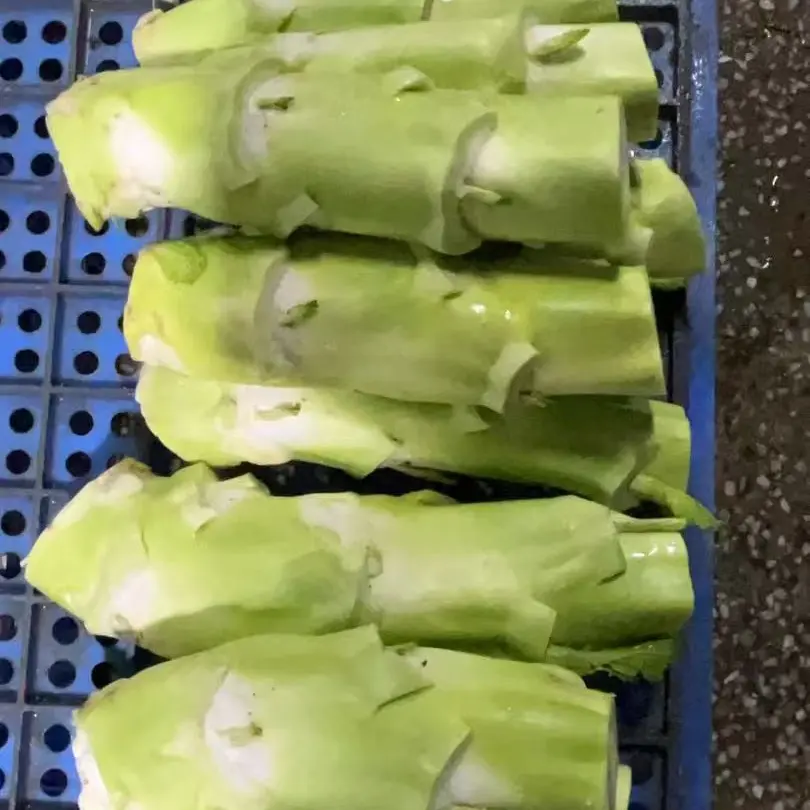 江西于都农家菜脑新鲜蔬菜现摘现发菜头