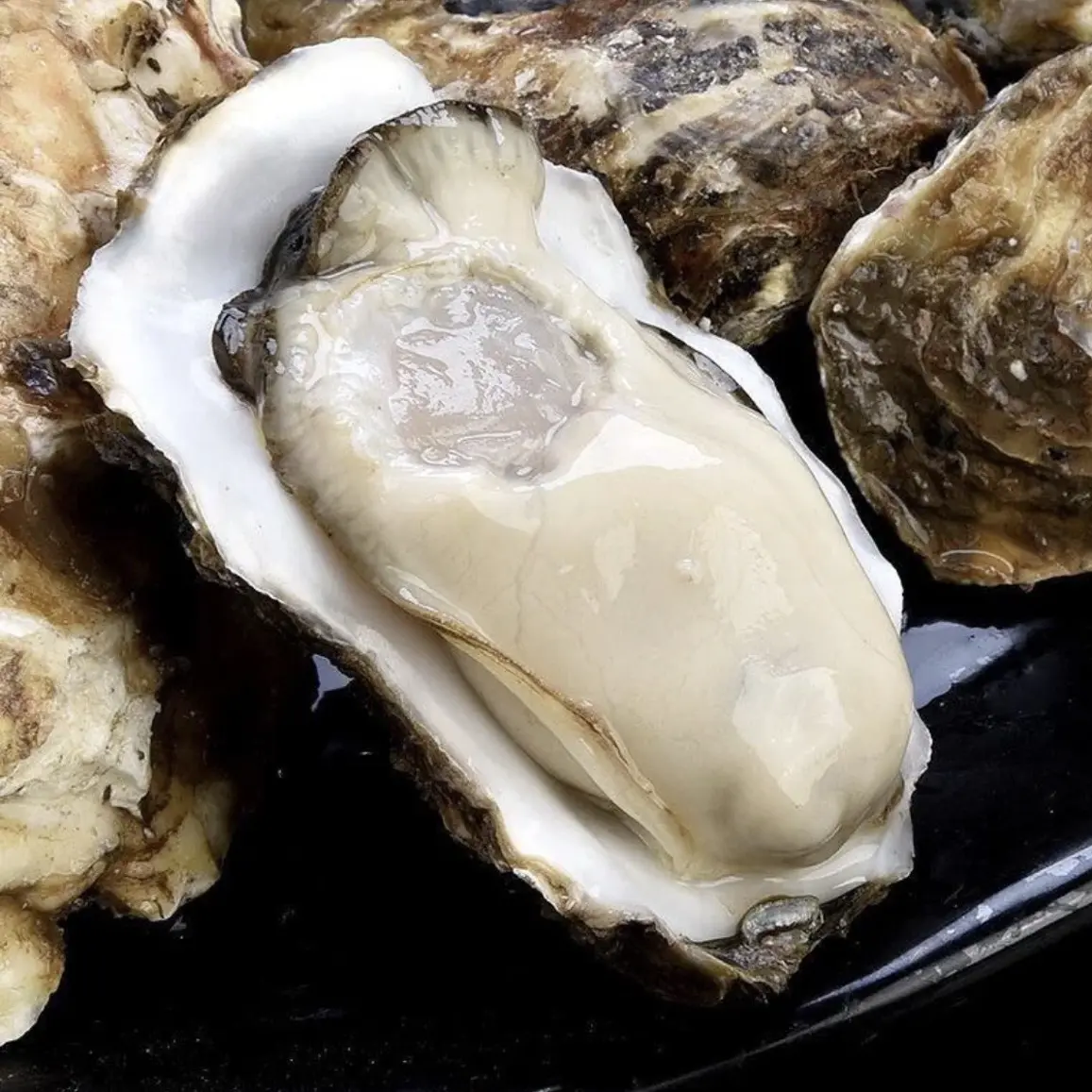 叶记海鲜～乳山生蚝