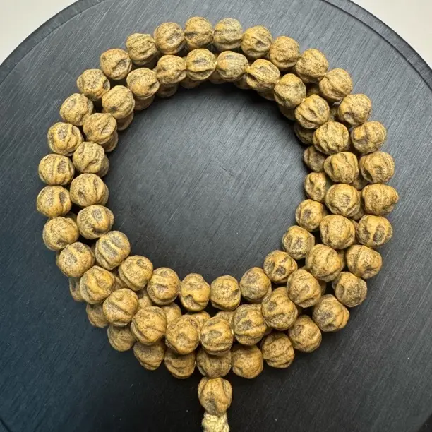 热振百香籽原桩高油高密满坑鬼脸百香籽