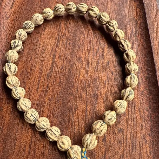 热振百香籽原桩西瓜纹手串