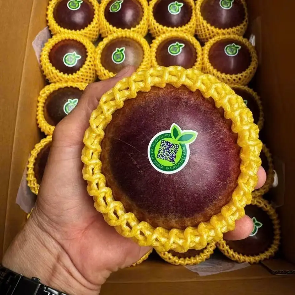 热带水果 应季牛奶果