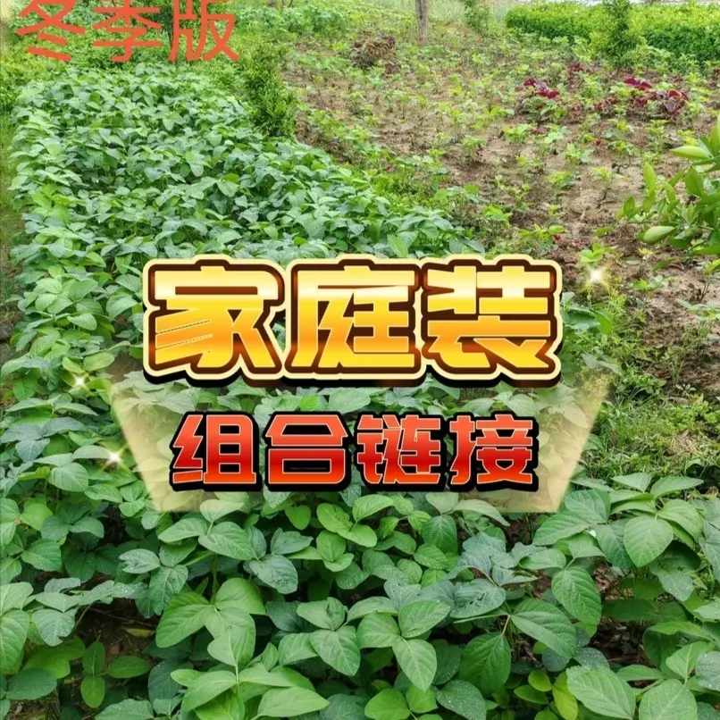 湖南大山里农家自种附近蔬菜/组合蔬菜