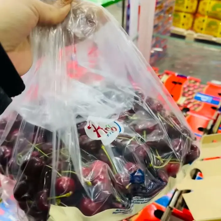 海运 桑缇娜车 厘 子 蓝P2J级内附果径卡