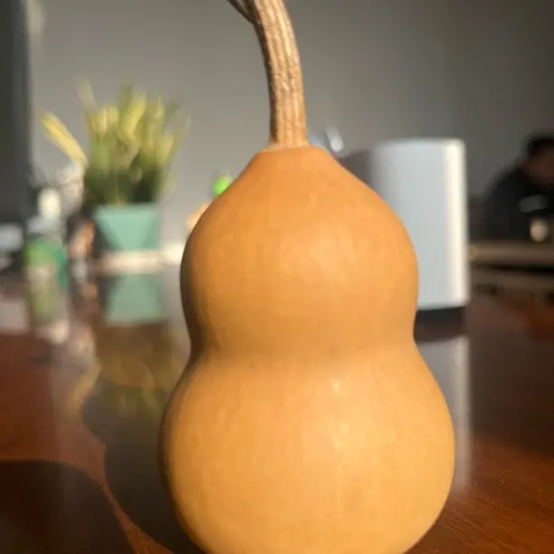 天然紫皮带龙头老葫芦文玩手捻摆件挂件