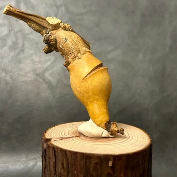 异形精美文玩葫芦直播间选品请勿私自下单