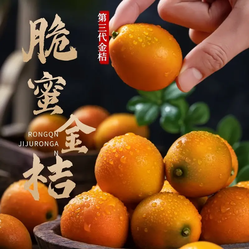 【全网低价】广西融安第三代脆蜜金桔橘柑新鲜水果纯甜爆汁无渣无核