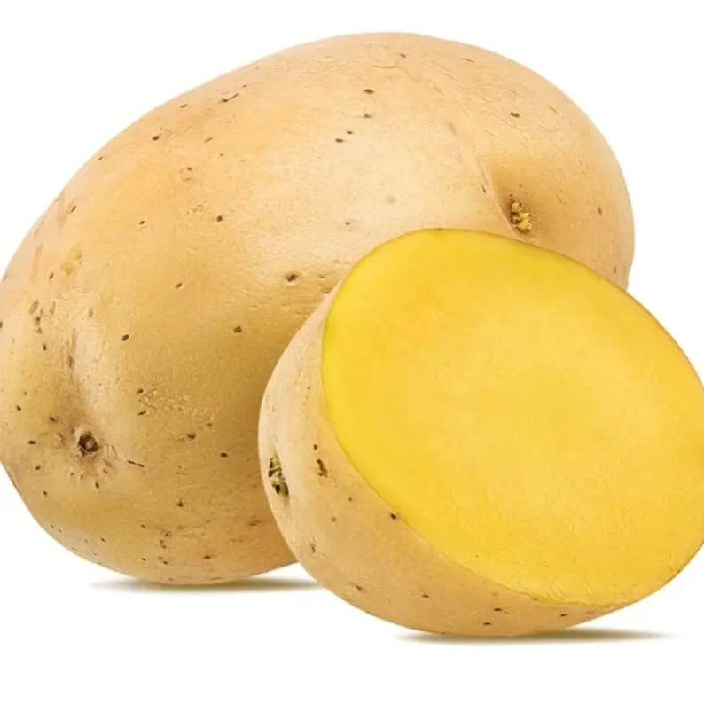 丁山妹代购代购3