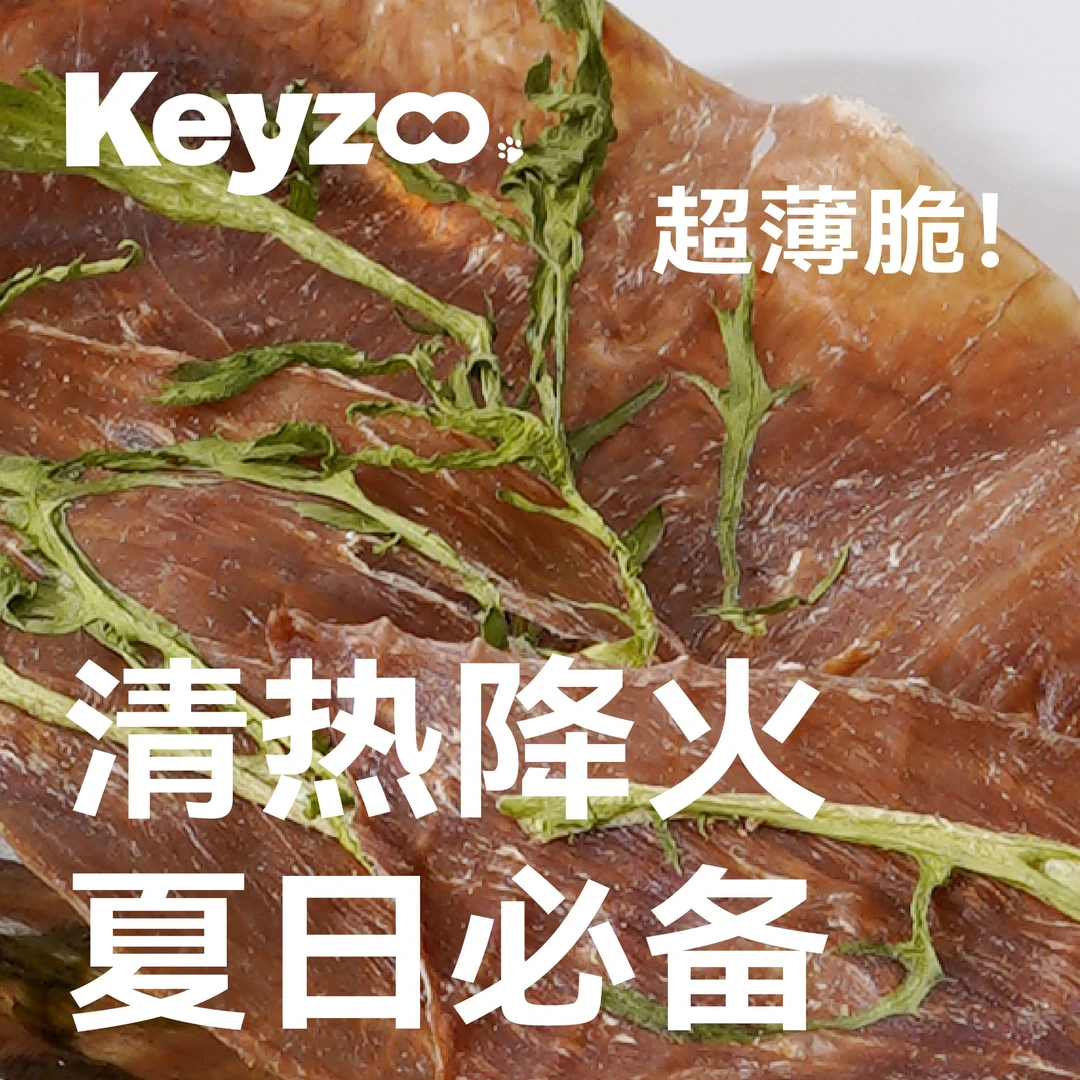 keyzoo超薄鸭肉苦菊片清火无添加猫狗通用肉干宠物零食猫小零食