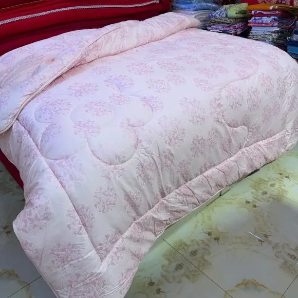 超柔双层纱加厚冬被亲肤保暖被芯单双人学生宿舍春秋冬被褥