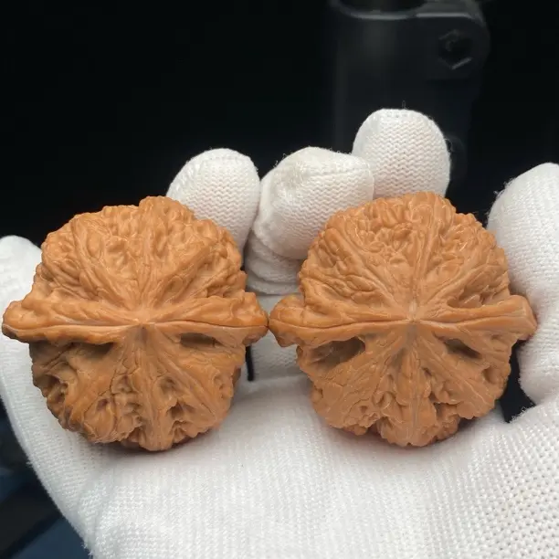 精品大粗筋 46尺寸全品无修