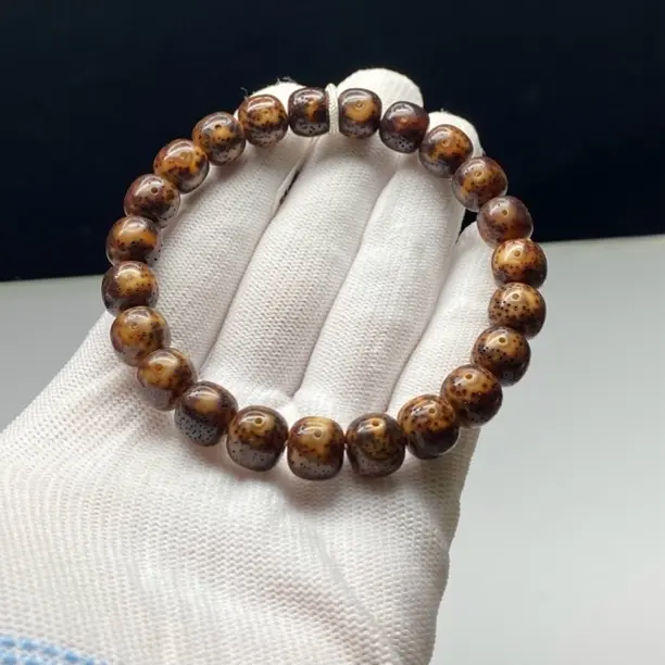 海南原生态黑金虎皮玉化高油高密老型9-10桶珠老籽DD28