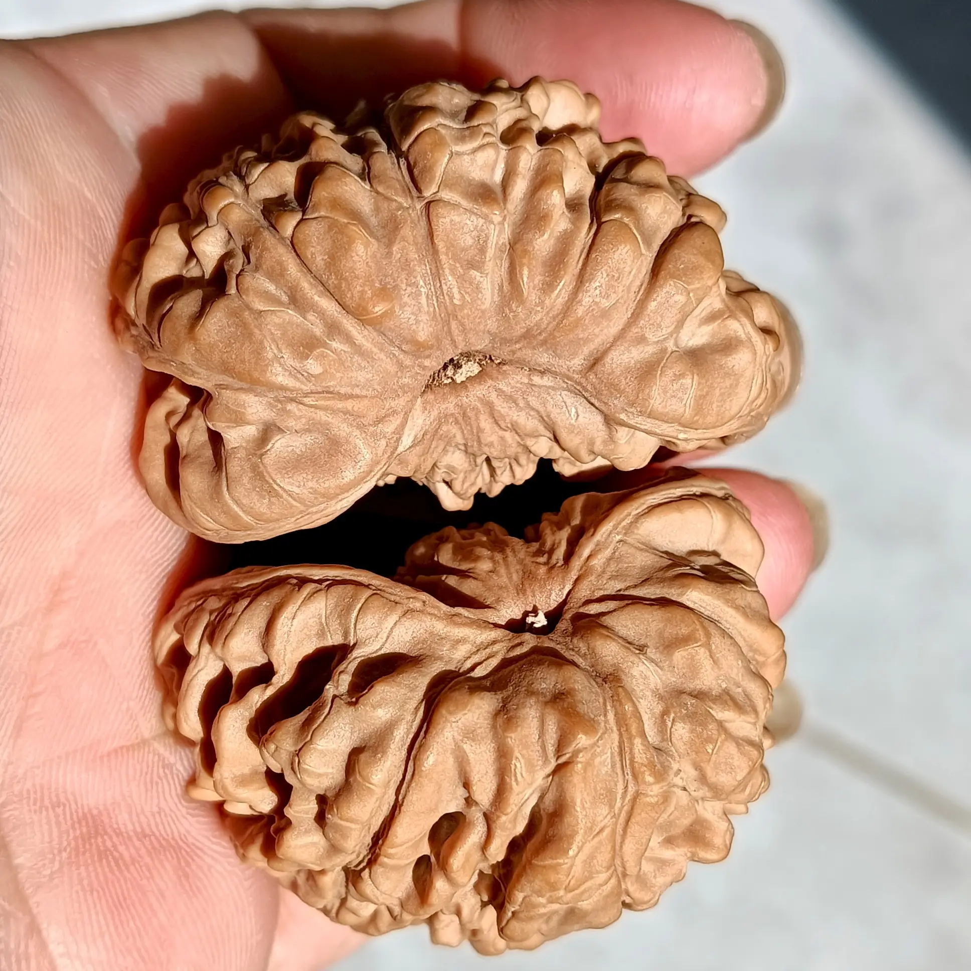 全品大尺寸蛇头聚宝盆文玩核桃手把件