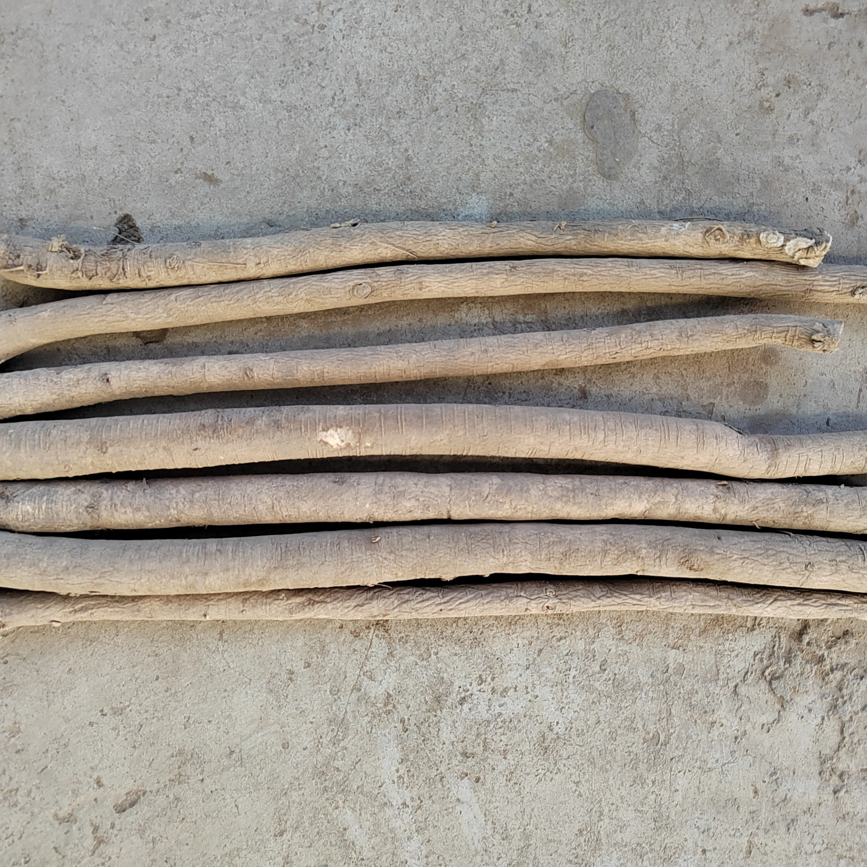 甘肃岷县去头去尾当季黄芪可煲汤泡水滋补养生