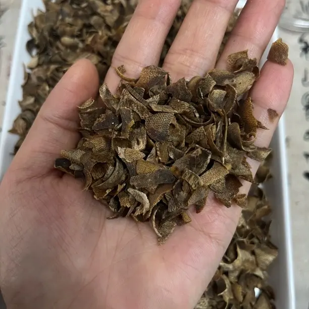 沉香沉香奇楠切片原材料