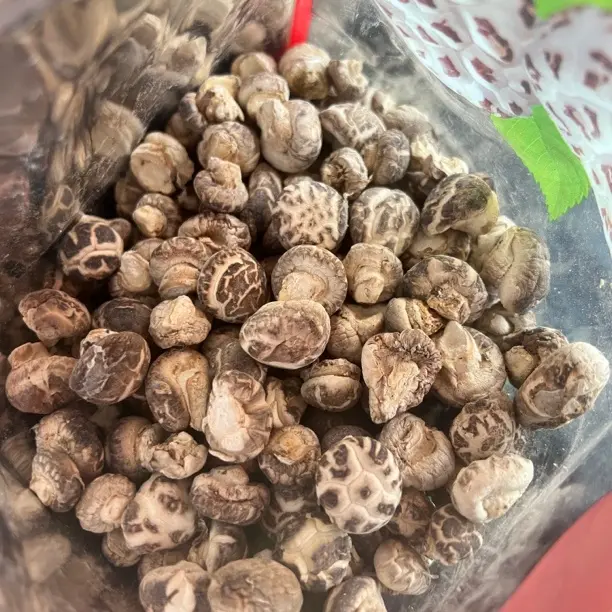 随州花菇丁干货1.2-2厘米香味浓郁肉厚特产菌菇煲汤食材