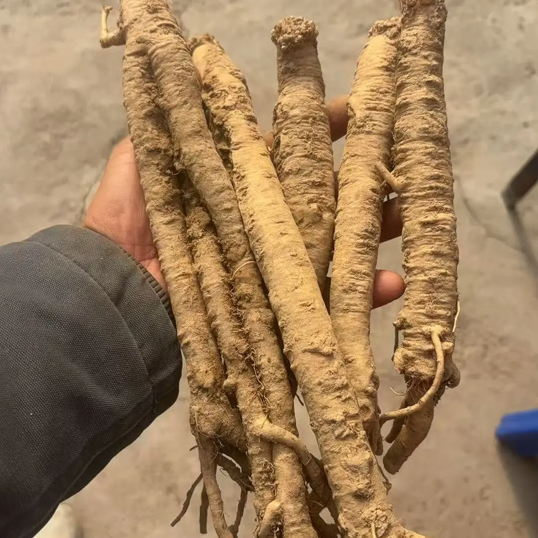 甘肃岷县产地直发自然生长，自然晾晒干可炖肉煲汤泡8+1