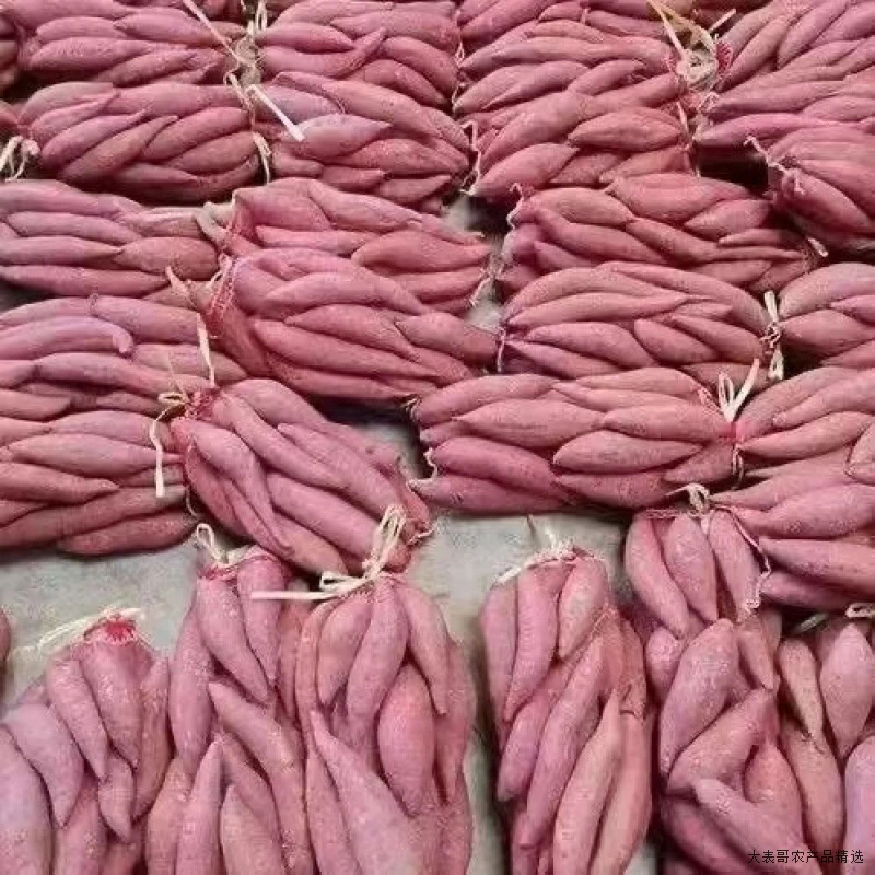 新鲜现挖沙地蜜薯10斤超甜烤红薯黄心番薯地瓜烟薯板栗薯蔬菜水果