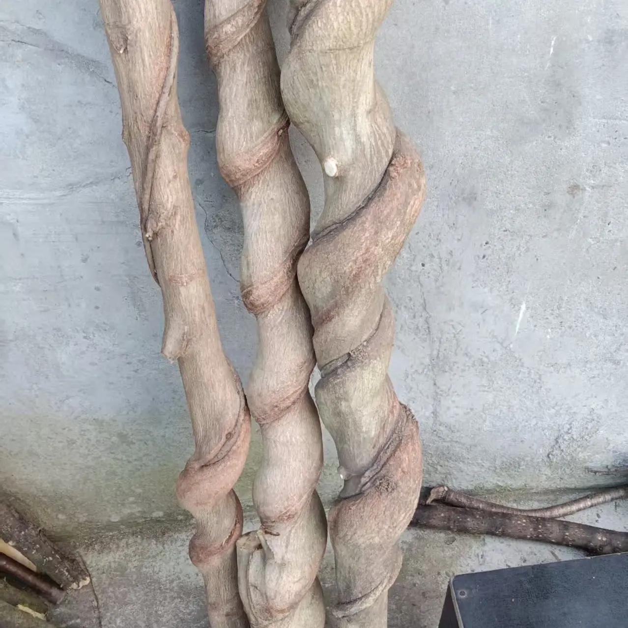 秦岭匠木鞭杆武术棍一物一图