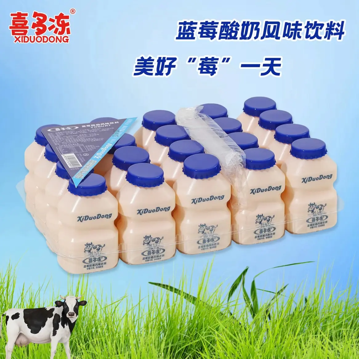 正宗喜多冻多味酸奶饮品蓝莓提子随机发一排*20瓶