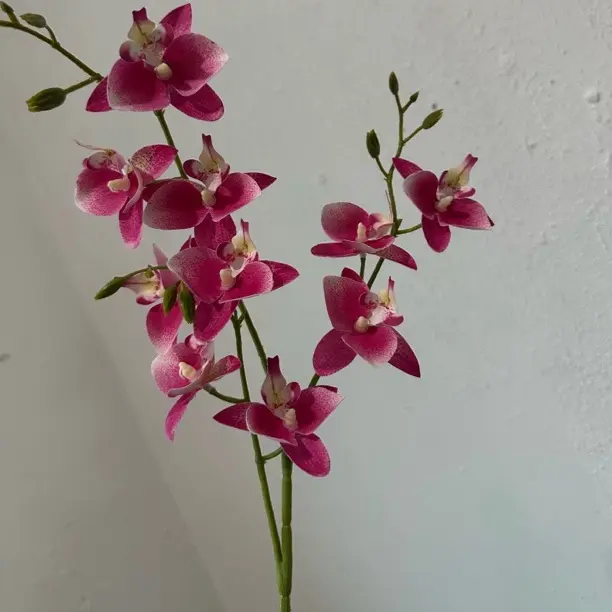 仿真鸽子兰室内摆放装饰婚庆布置小众布置