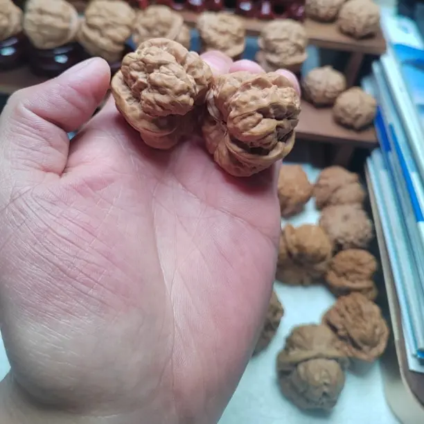 精品延庆金蟾蛤蟆头文玩核桃大尺寸开背有腿有眼上色快