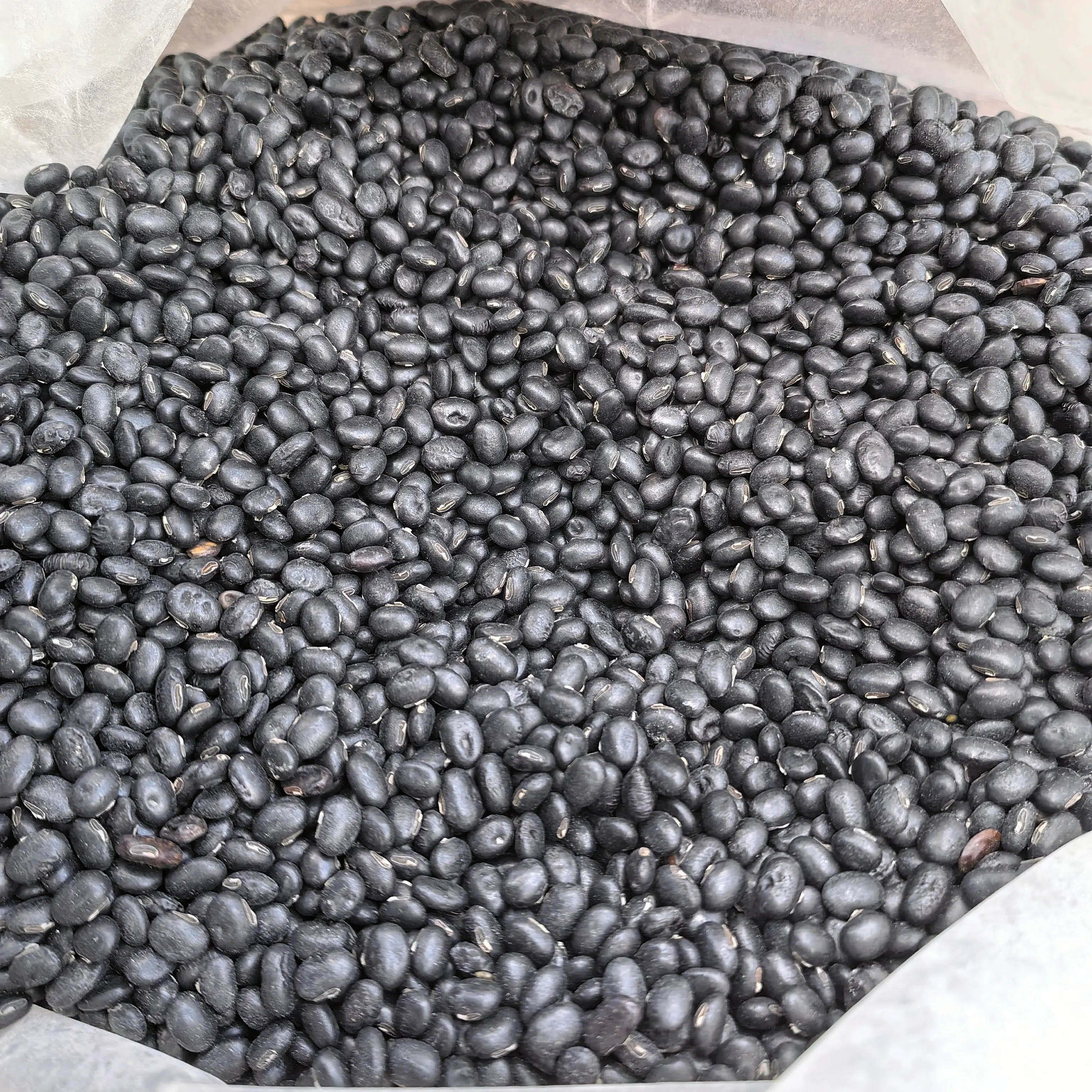 老品种肾形黄仁小黑豆五谷杂粮健康食材