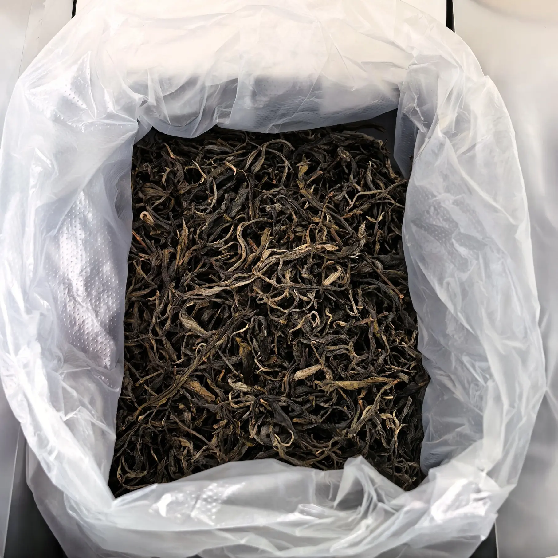 2025年老班章58号春茶古树混采生茶散茶500克带礼盒