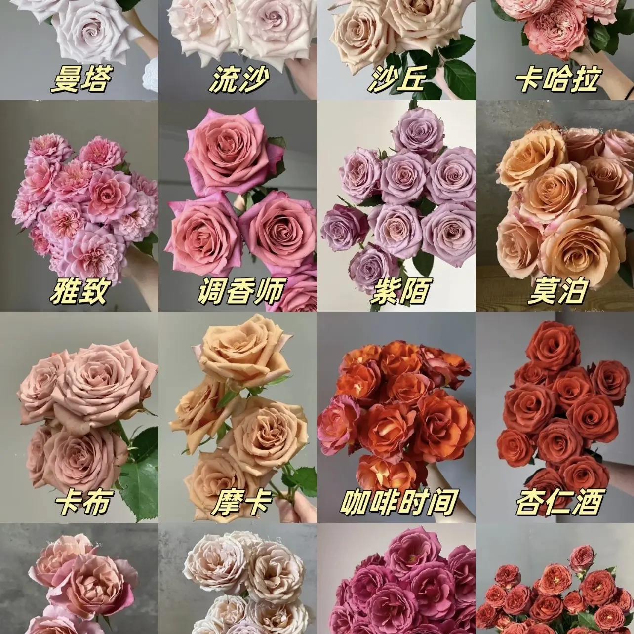卡布奇诺单头玫瑰新鲜鲜花花束云南直发适合客厅装饰