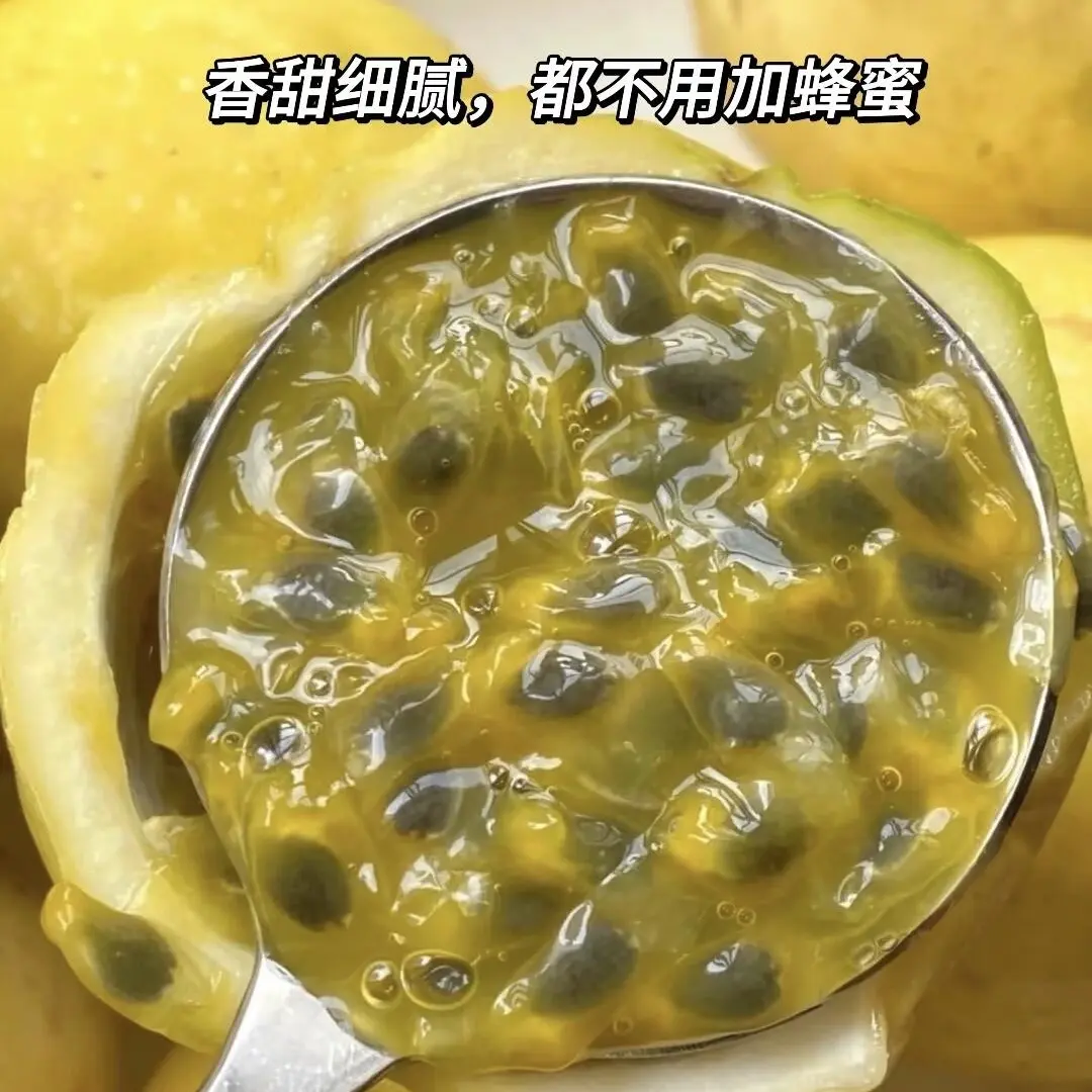 新鲜钦蜜9号百香果甜酸适中汁多健康营养包邮