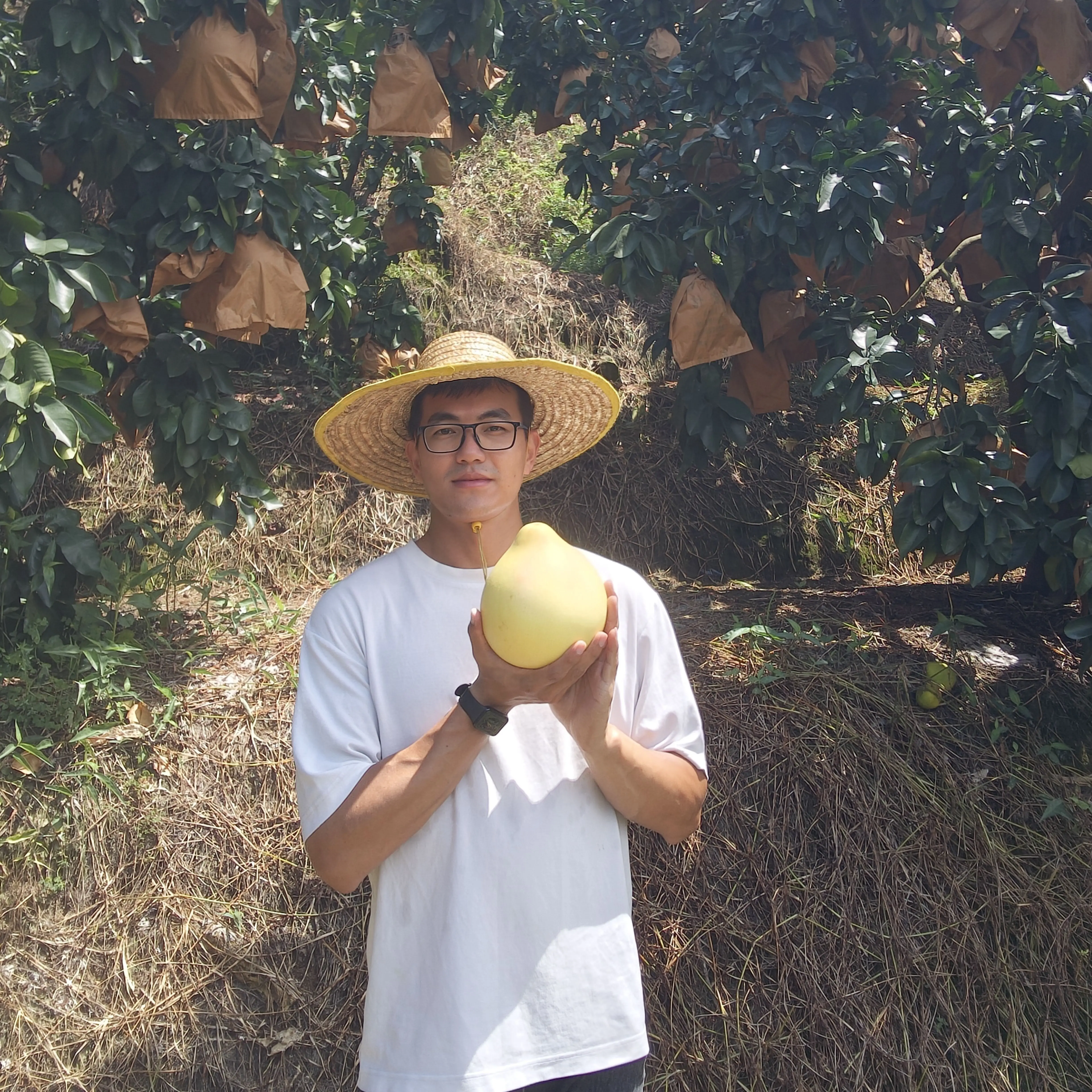 正宗福建平和三红红心蜜柚酸甜多汁当季新鲜水果孕妇中秋送礼佳品