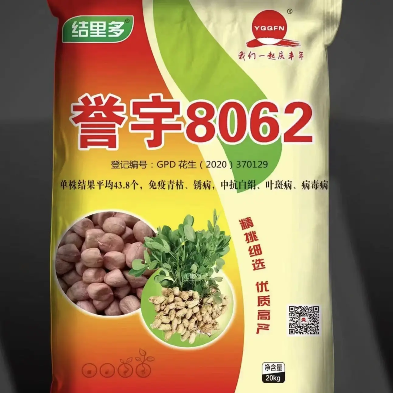 誉宇8062 第五代罗汉果升级换代品种 抗病高产 每亩多收几百斤