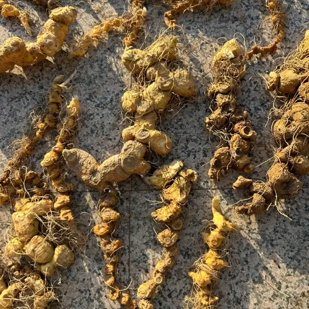 湖南新化 高山特产 初级农产品 九蒸九晒